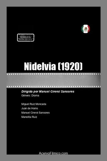 Poster of Nidelvia