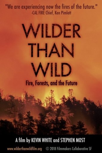 Poster of Wilder than Wild: Fire, Forests, and the Future