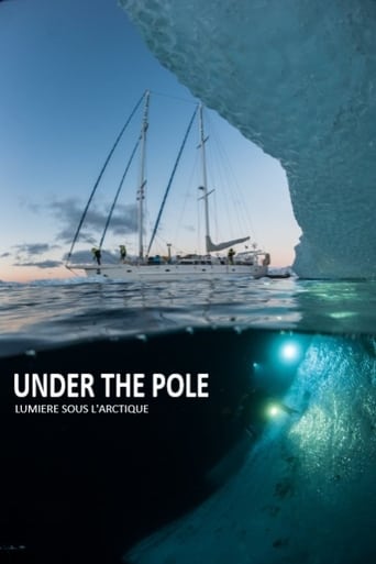 Poster of Under The Pole : Lumière Sous l'Arctique