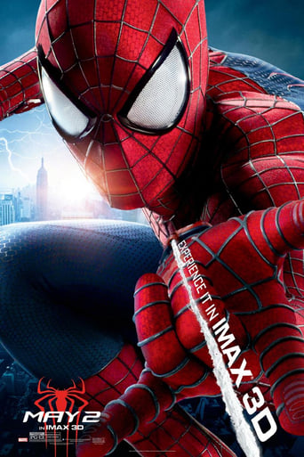 Poster of The Amazing Spider-Man 2