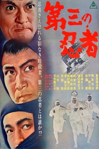 Poster of The Third Ninja