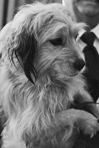 Portrait of Benjean