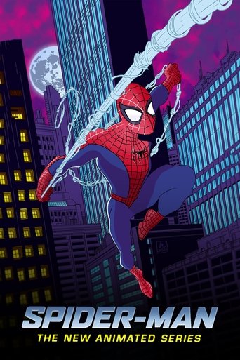 Poster of Spider-Man: The New Animated Series