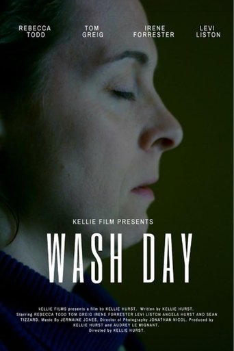 Poster of Wash Day