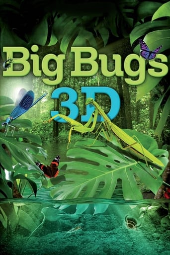 Poster of Big Bugs