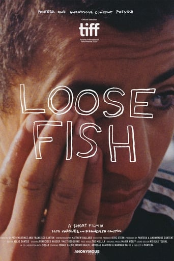 Poster of Loose Fish