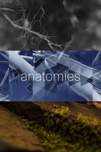 Poster of anatomies