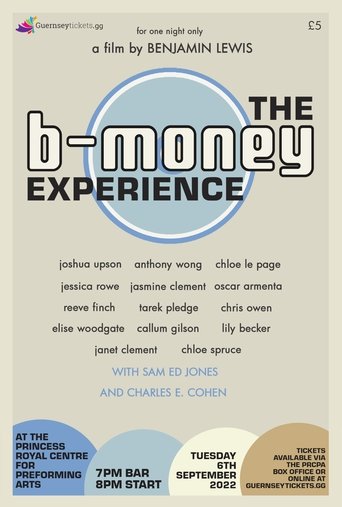 Poster of The B-Money Experience