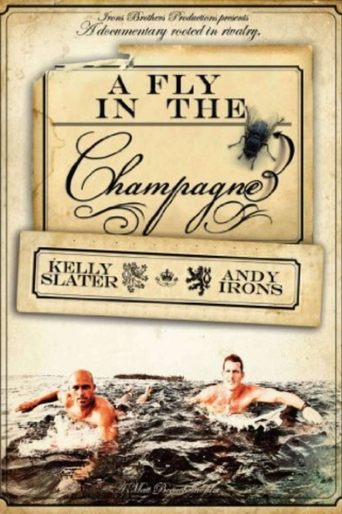 Poster of A Fly in the Champagne