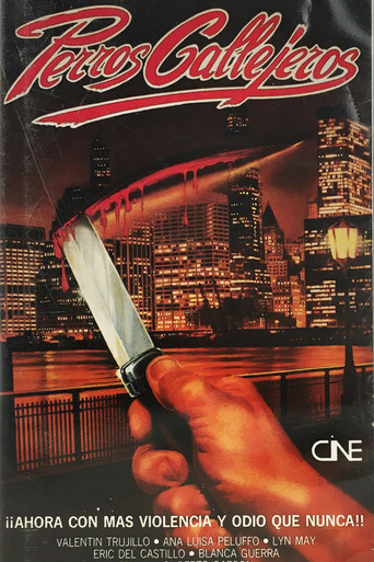 Perro callejero Poster of Perro callejero