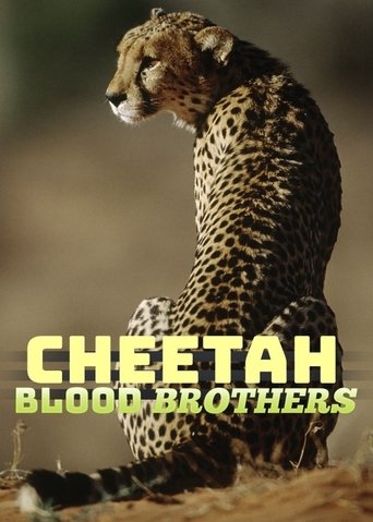 Poster of Cheetah Blood Brothers