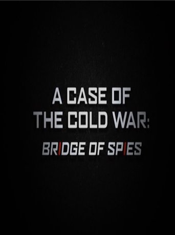 Poster of A Case of the Cold War: Bridge of Spies
