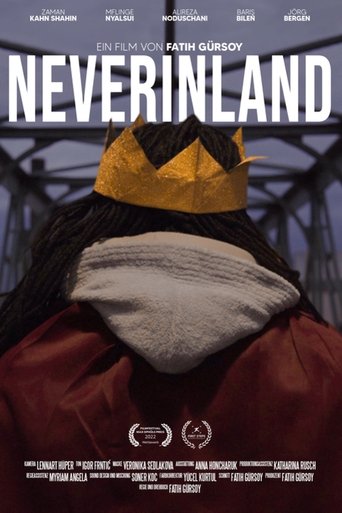 Poster of Neverinland