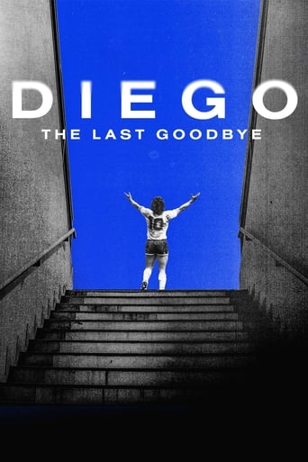 Poster of Diego, The Last Goodbye