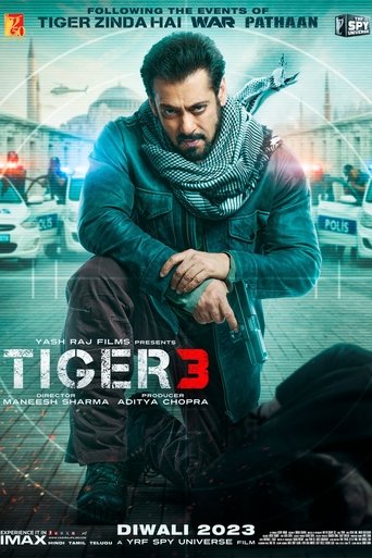Poster of Tiger 3