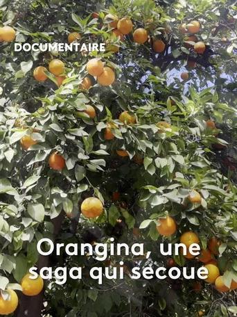 Poster of Orangina, une saga qui secoue