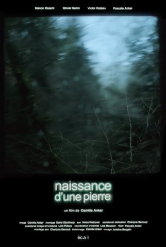 Poster of Naissance d'une pierre