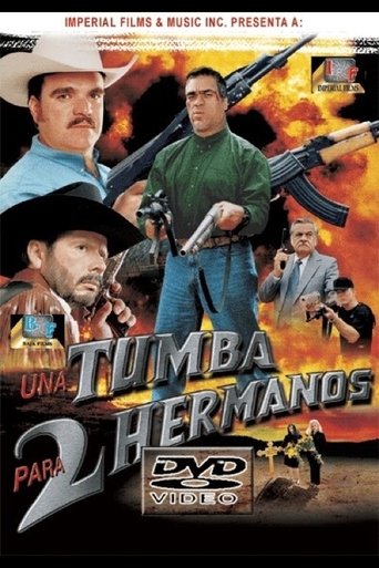 Poster of Una tumba para dos hermanos