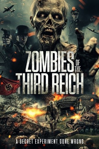 Poster of Zombies of the Third Reich