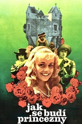 Poster of How to Wake a Princess