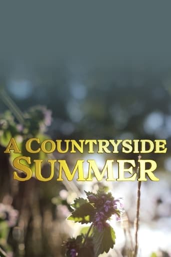 Poster of A Countryside Summer