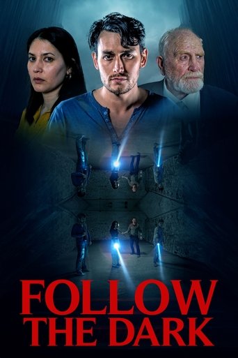 Poster of Follow the Dark