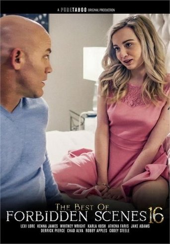 Poster of The Best of Forbidden Scenes 16