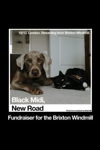 Poster of Black Midi, New Road: 'Live at The Windmill, Brixton.'