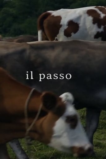 Poster of Il passo