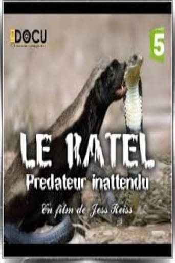 Poster of Le ratel prédateur inattendu