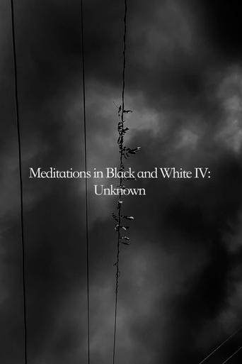 Poster of Meditations in Black and White IV: Unknown