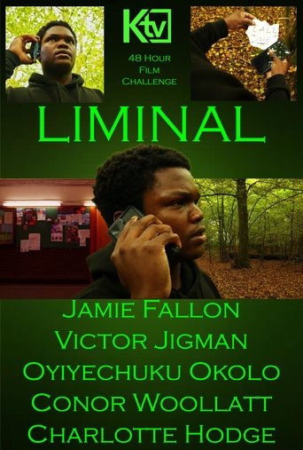 Poster of Liminal