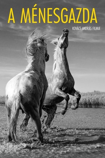 Poster of The Stud Farm