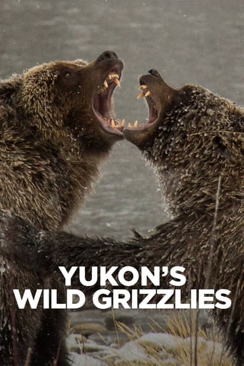 Poster of Yukon's Wild Grizzlies