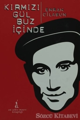 Poster of Kırmızı Gül Buz İçinde