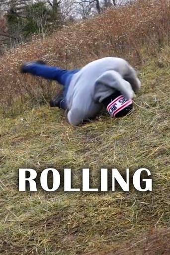 Poster of Rolling