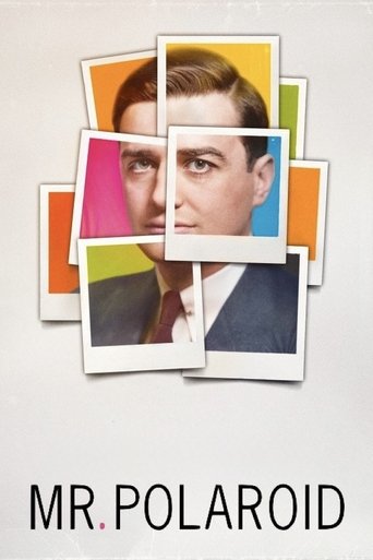 Poster of Mr. Polaroid