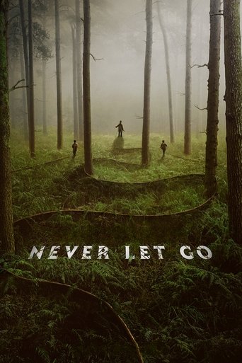 Poster of Never Let Go