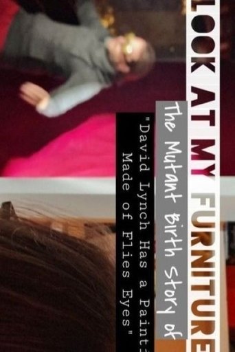 Poster of Look at My Furniture: The Mutant Birth Story of David Lynch Has a Painting Made of Flies Eyes