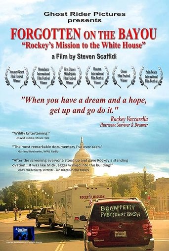 Poster of Forgotten on the Bayou: Rockey’s Mission to the Whitehouse