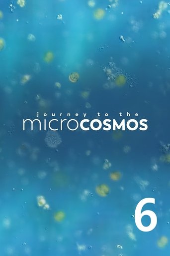 Portrait for Journey to the Microcosmos - Season 6