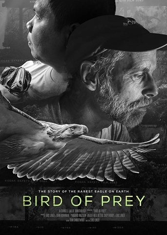 Poster of Bird of Prey