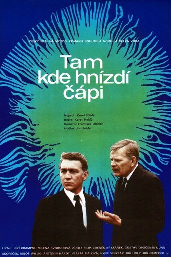 Poster of Tam kde hnízdí čápi