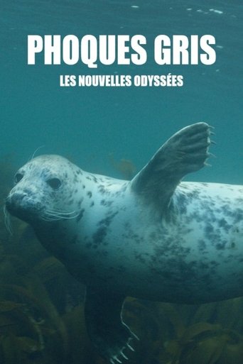 Poster of Grey Seals: A Journey of Survival