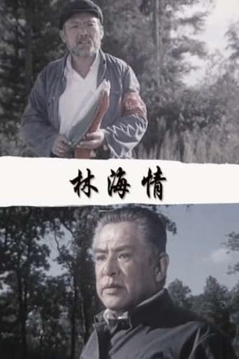 Poster of 林海情