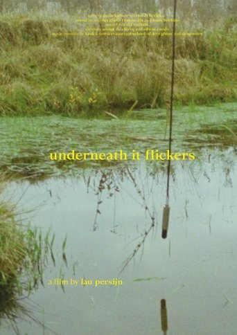Poster of underneath it flickers