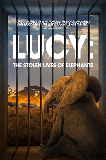 Poster of Lucy: The Stolen Lives of Elephants