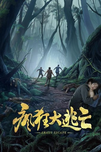 Poster of 疯狂大逃亡