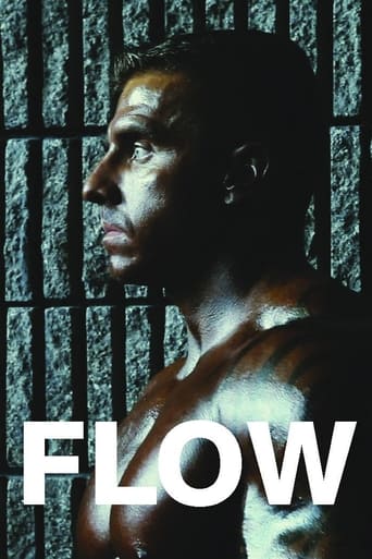 Poster of Flow