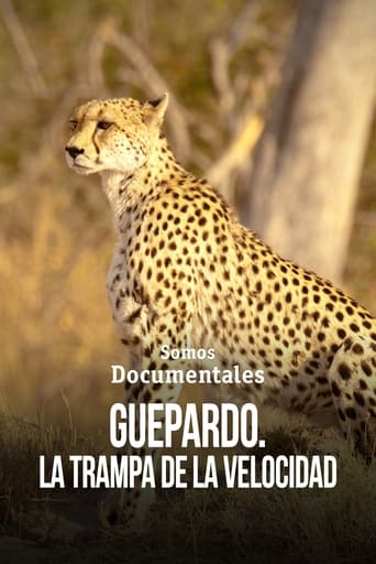 Poster of Cheetah – Speed Trap